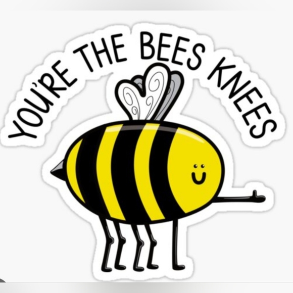 🐝🐝BLAZEY BEES LIVE SHOW LISTING🐝🐝 - Picture 9 of 13